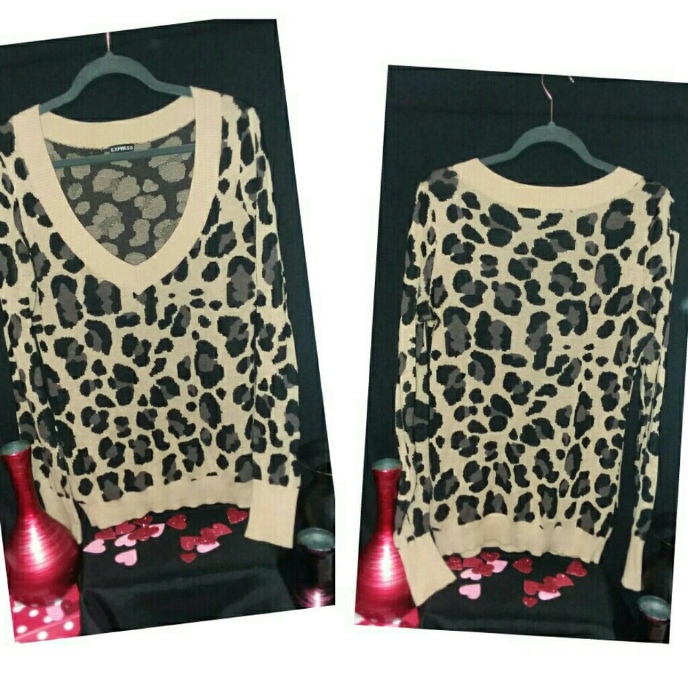 Express Medium Animal Print Sweater V-Neck